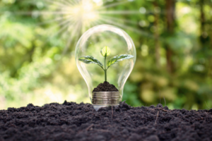 Ajuts a projectes de nous models de negoci per a la transició energètica