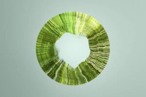 Ajuts per a l'impuls de l'economia circular als sectors del tèxtil i la moda i del plàstic (PERTE)