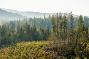 Ajuts per a implantació de sistemes voluntaris de gestió ambiental d'acord amb el Reglament europeu EMAS